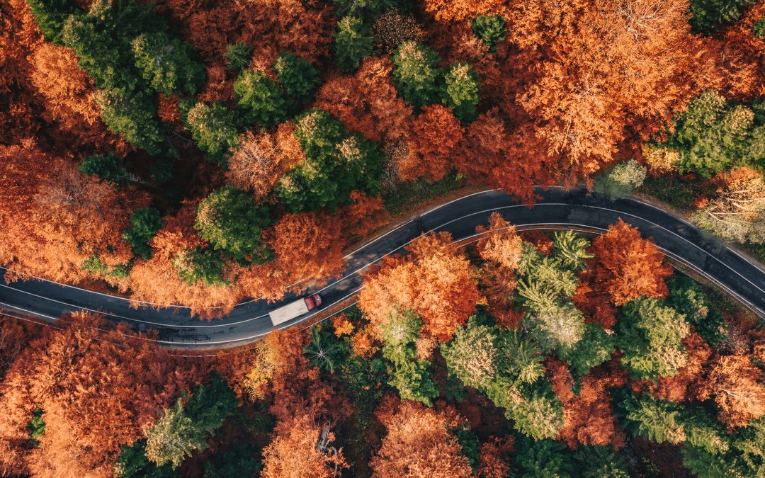 DEX Collision Repair Focus